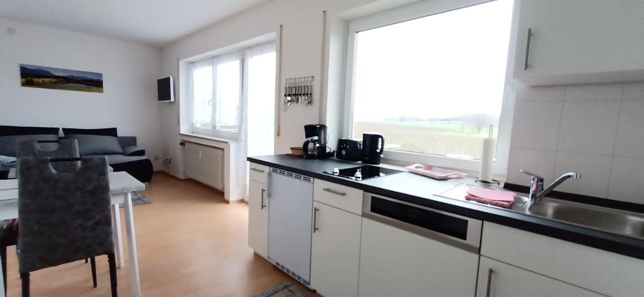 Bodensee Apartments Friedrichshafen Schnetzenhausen Luaran gambar